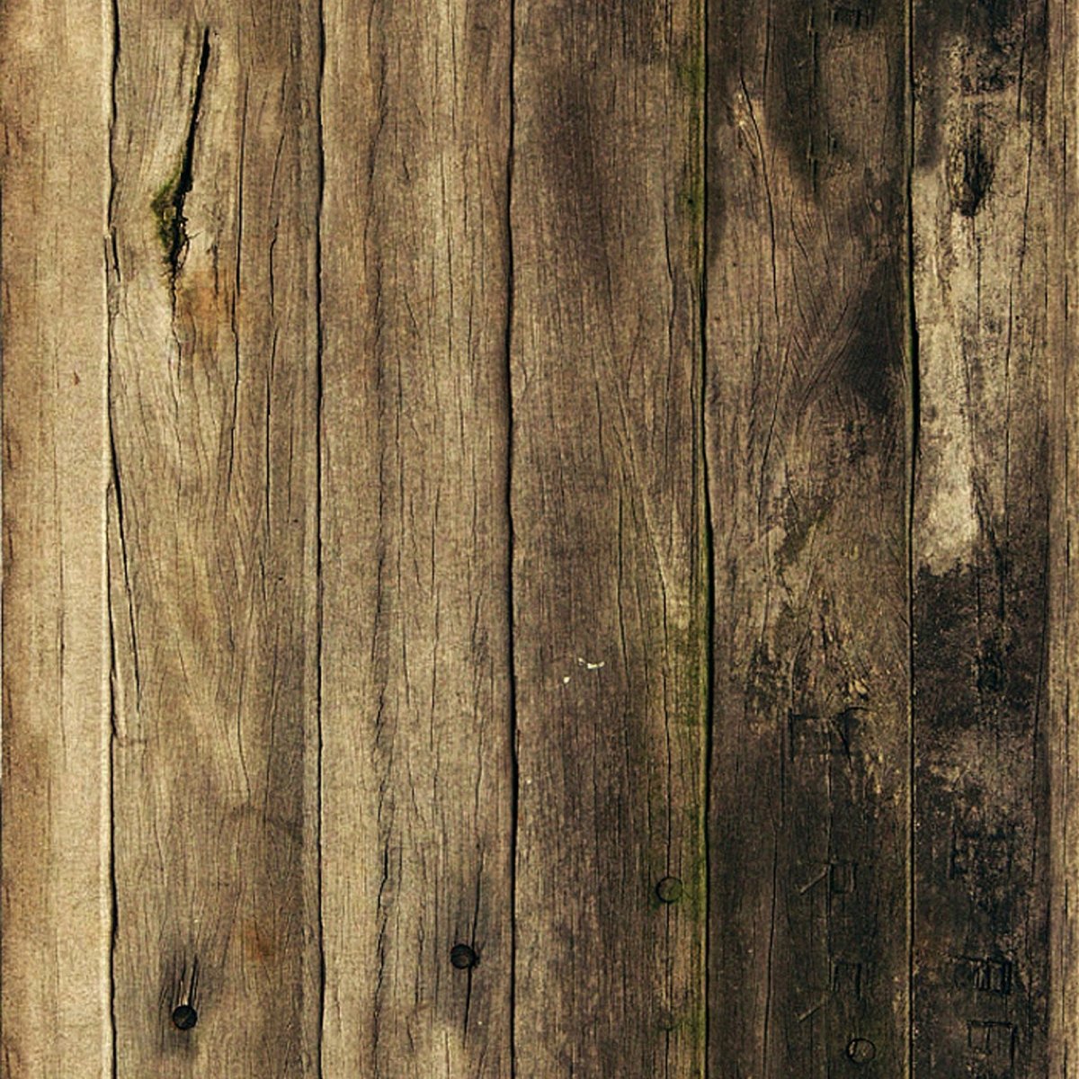 Свилеватая древесина