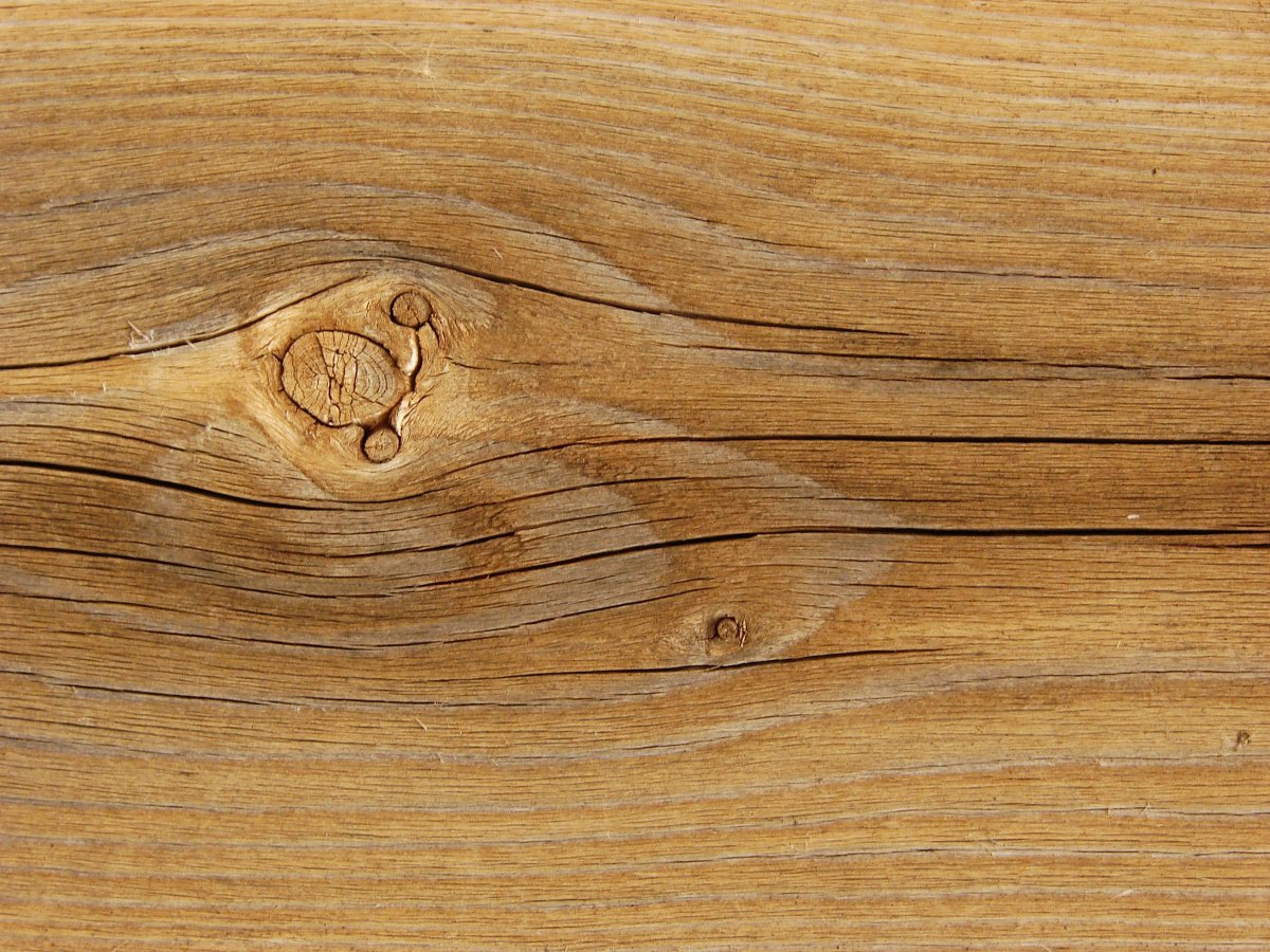 Текстура дерева для рисования