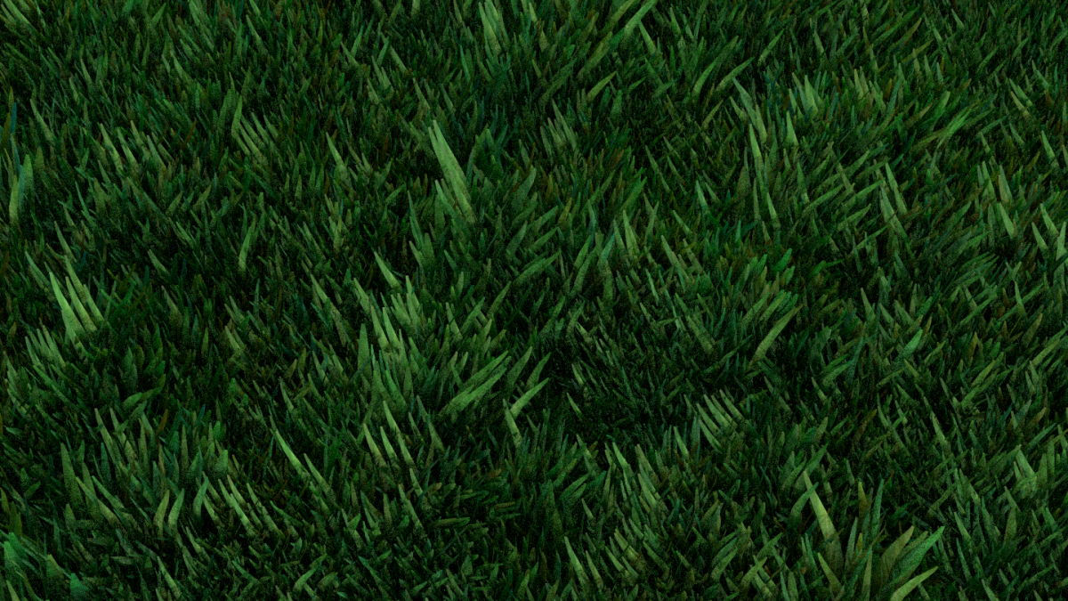 Текстура травы для блендера