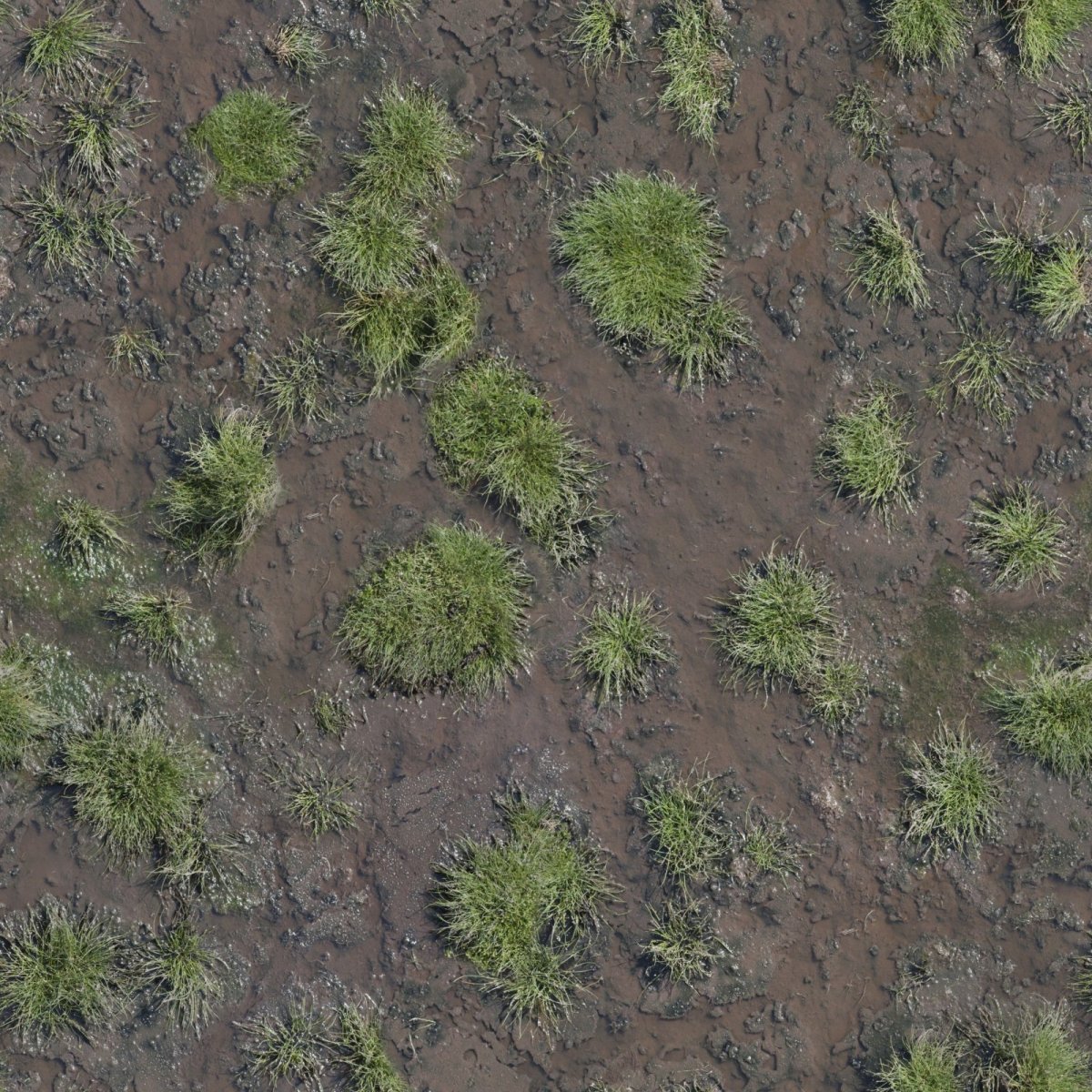 Текстура земли для генплана