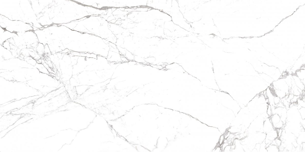 120x240 / High Gloss Carrara Pearl