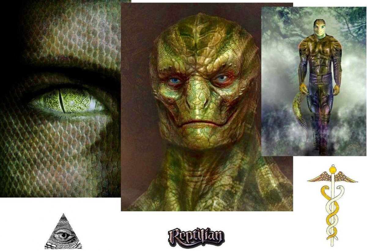 Аннунаки рептилии