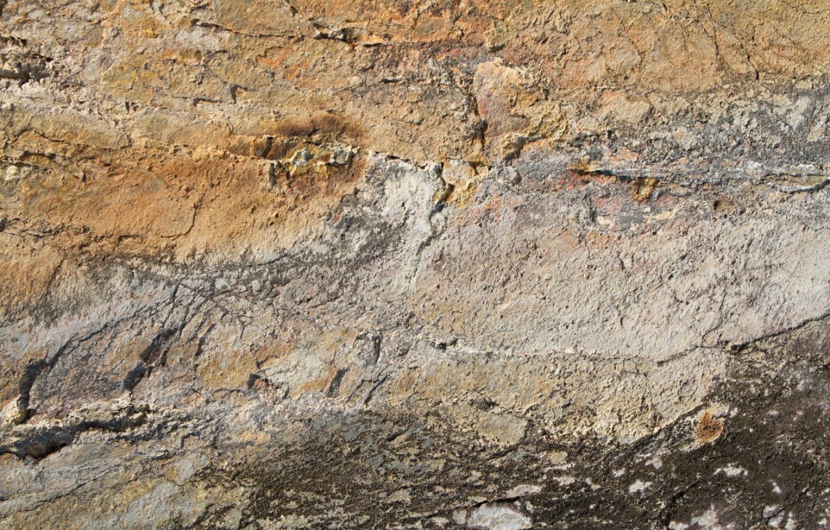 Каменный шпон текстура бесшовная