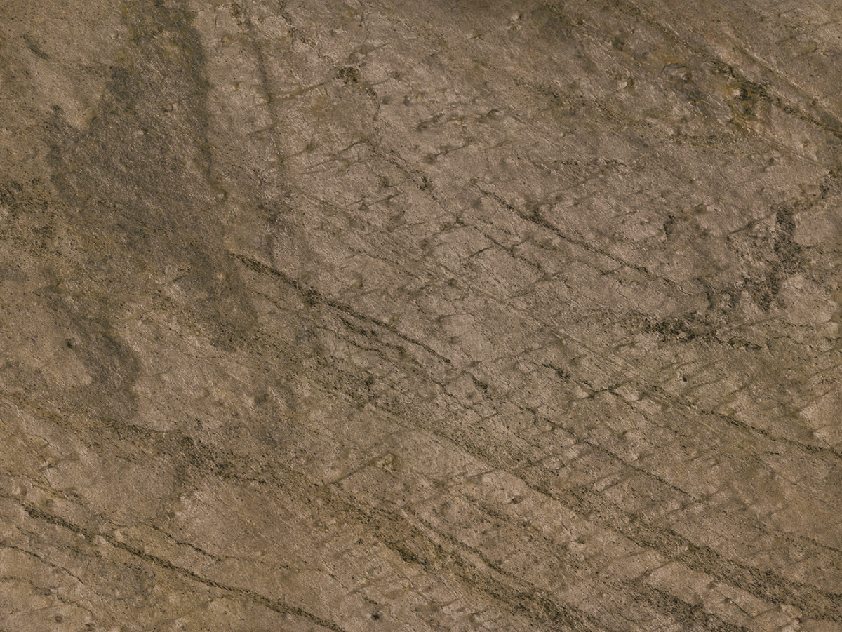 Текстура каменного шпона