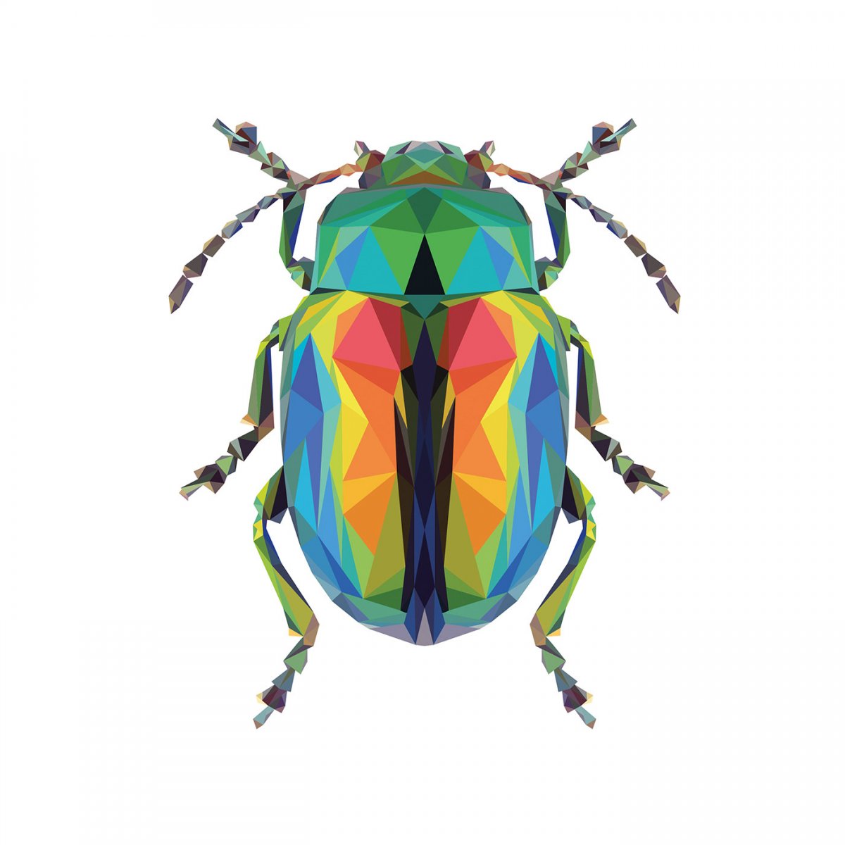 Геометрические рисунки насекомых