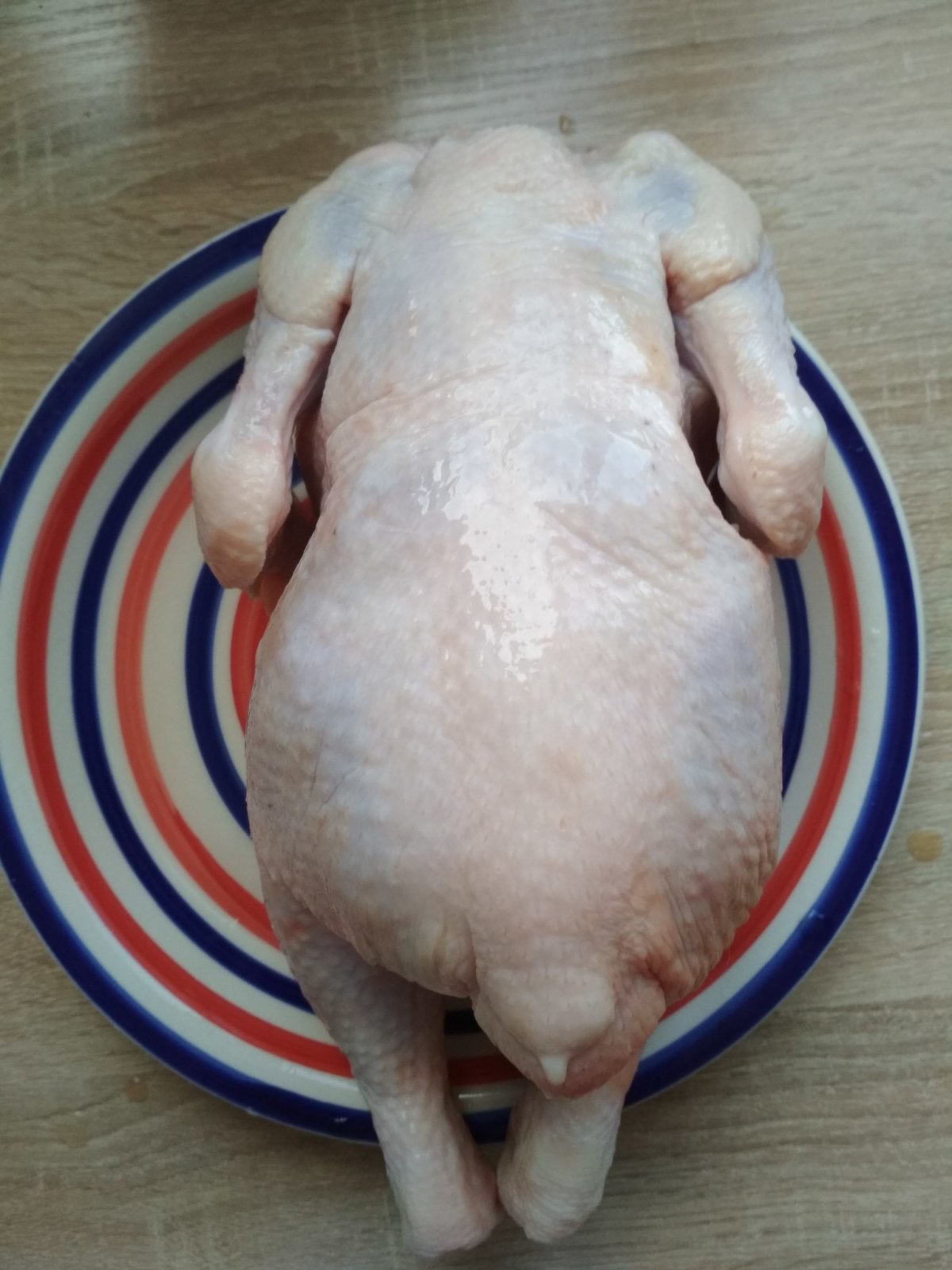 Беременная Британская кошка