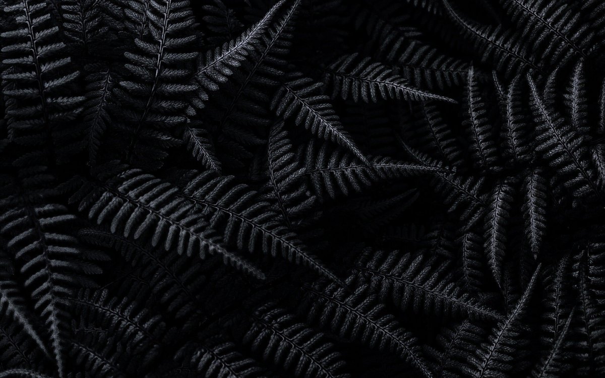 Чёрный эстетичный фон