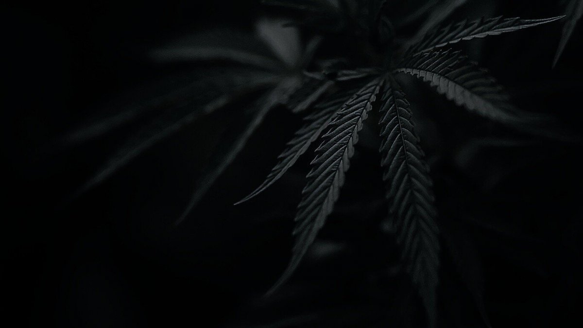 Обои на рабочий стол черные