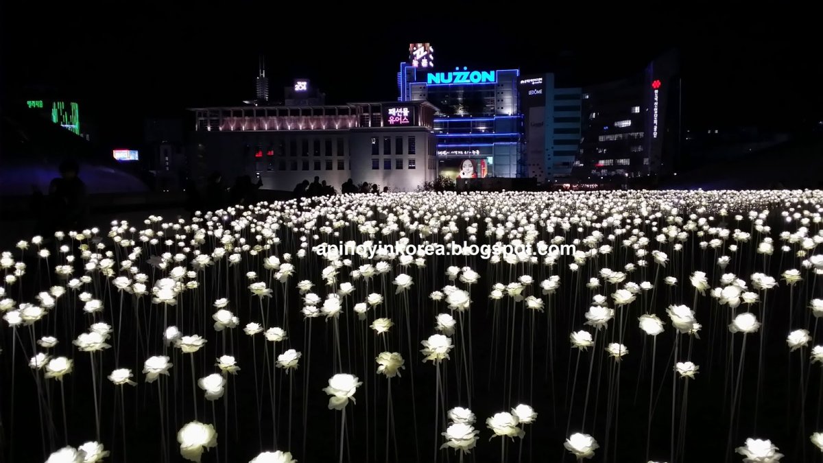 Обои на телефон южная корея