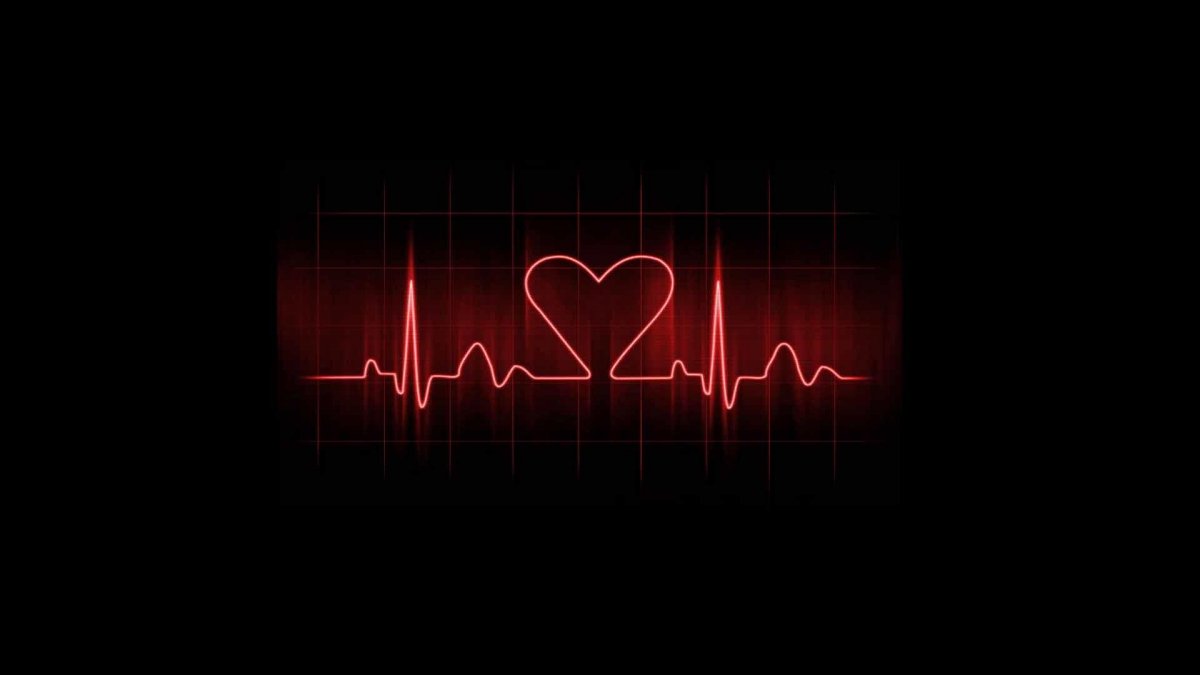 Ритм сердца