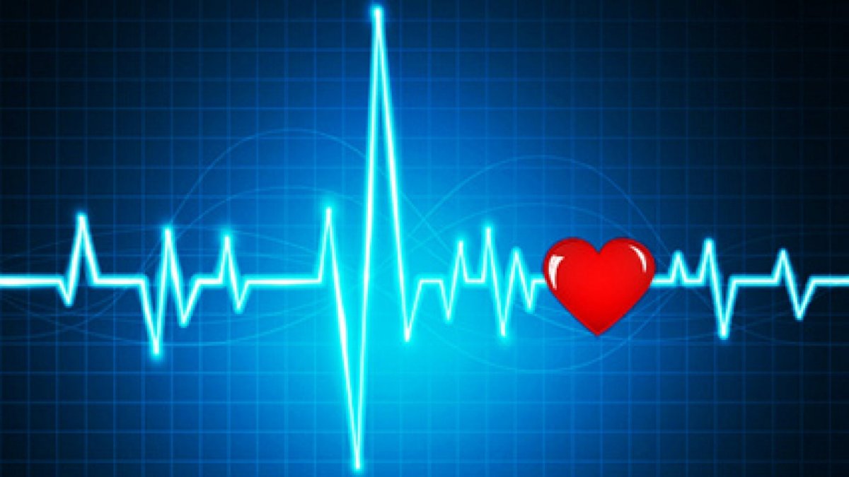 Музыкальная кардиограмма