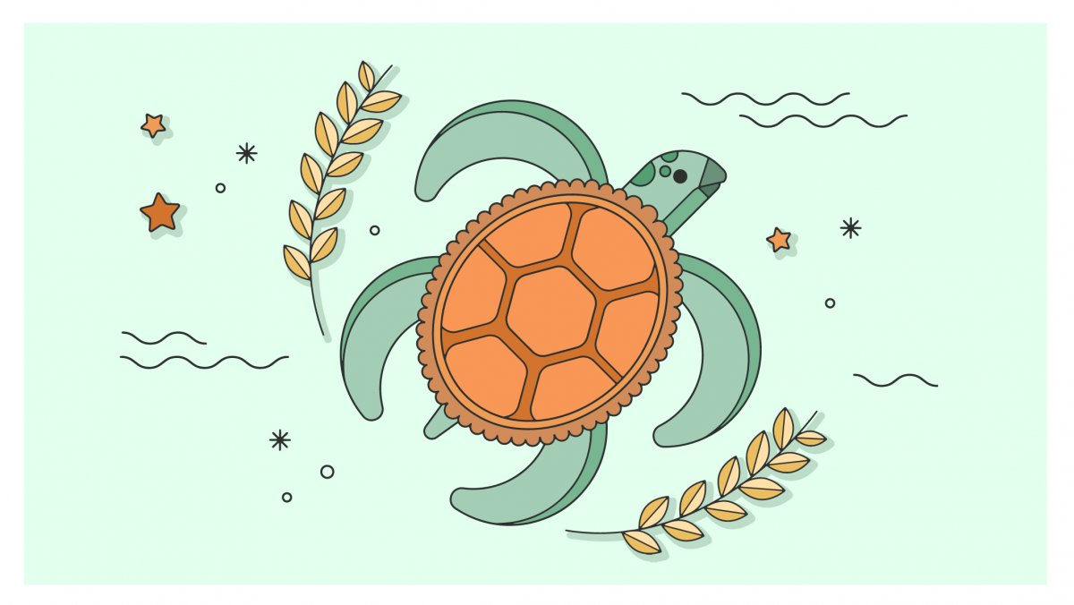 Балканская сухопутная черепаха