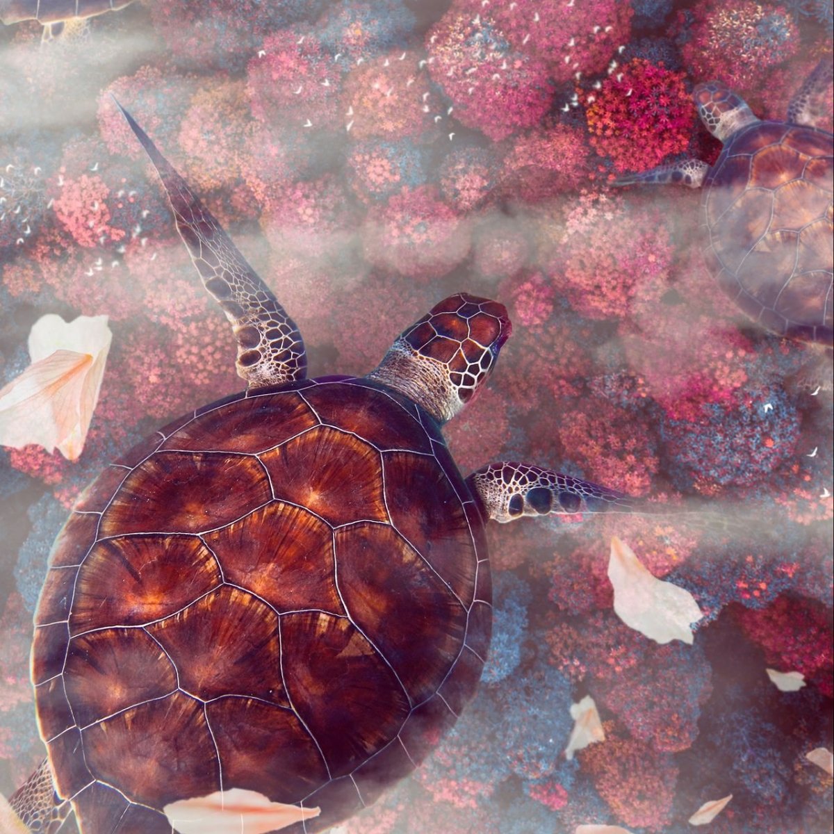 Черепашки на берегу моря