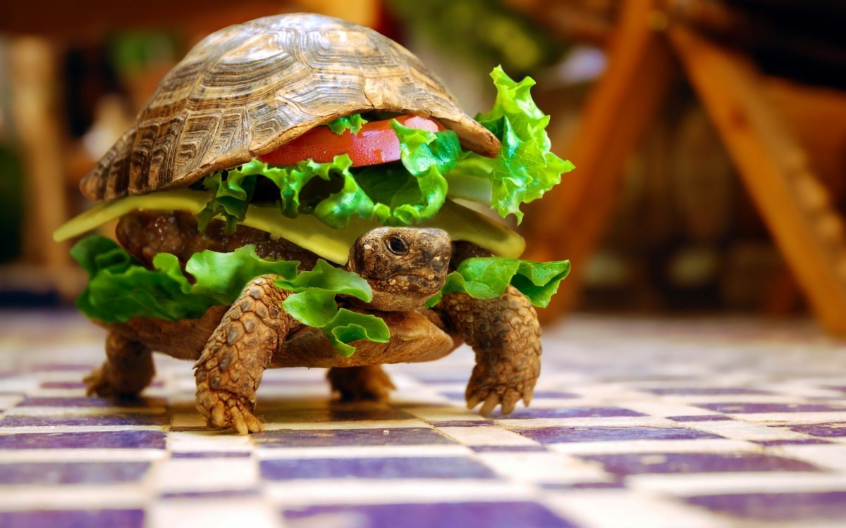 Милые Черепашки мультяшные