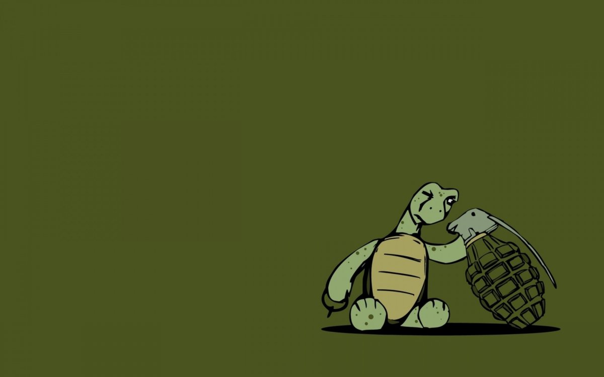 Turbo зеленая черепаха