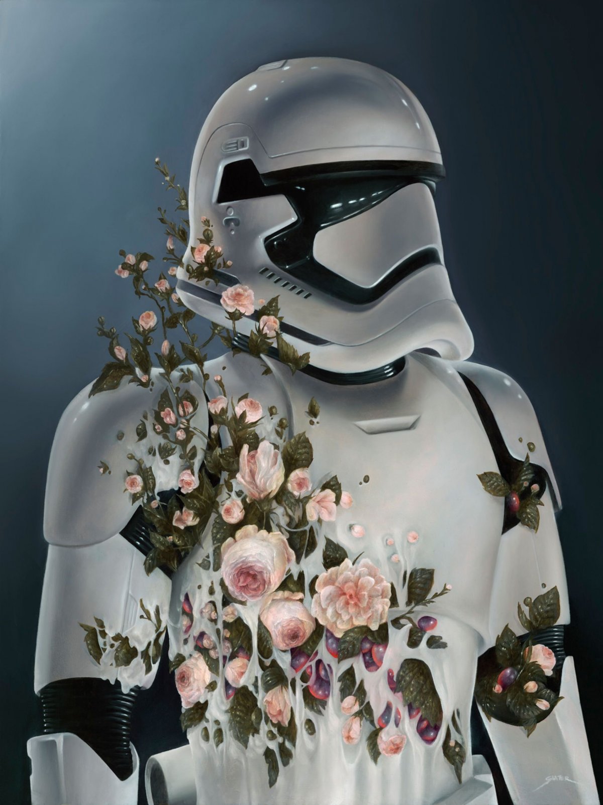 Имперские штурмовики Звездные войны арт