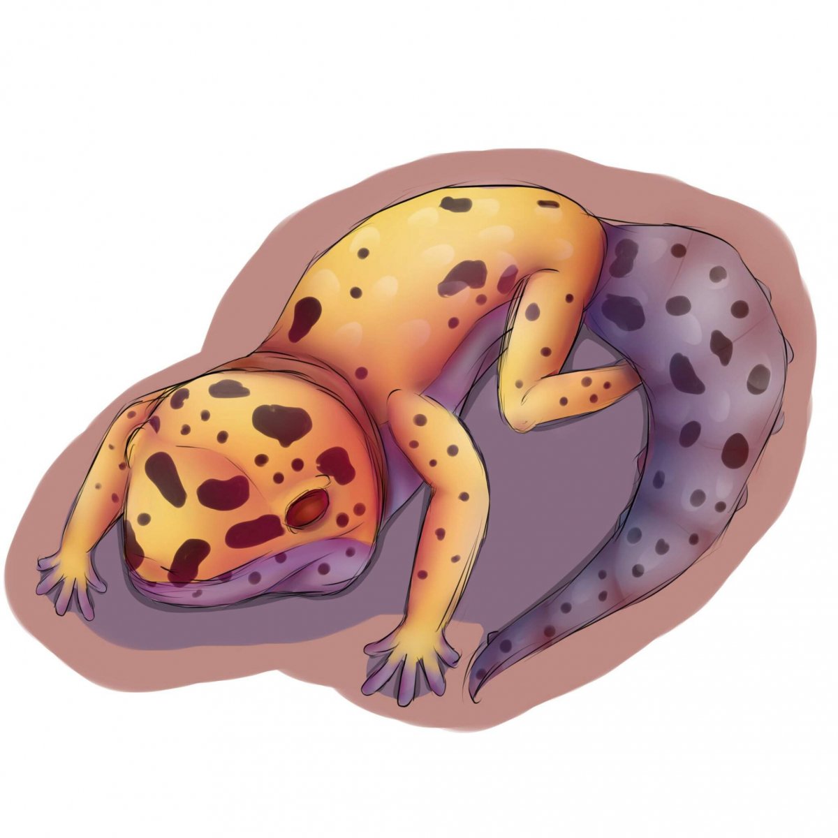 Геккон эублефар хуманизация