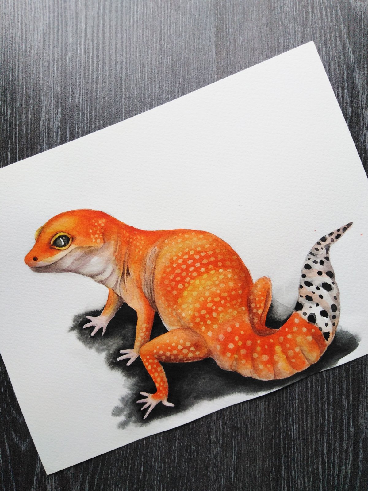 Геккон эублефар скетчинг