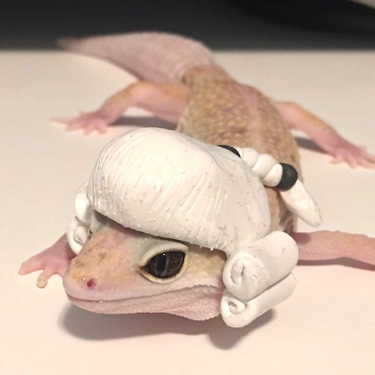 Чиби эублефар