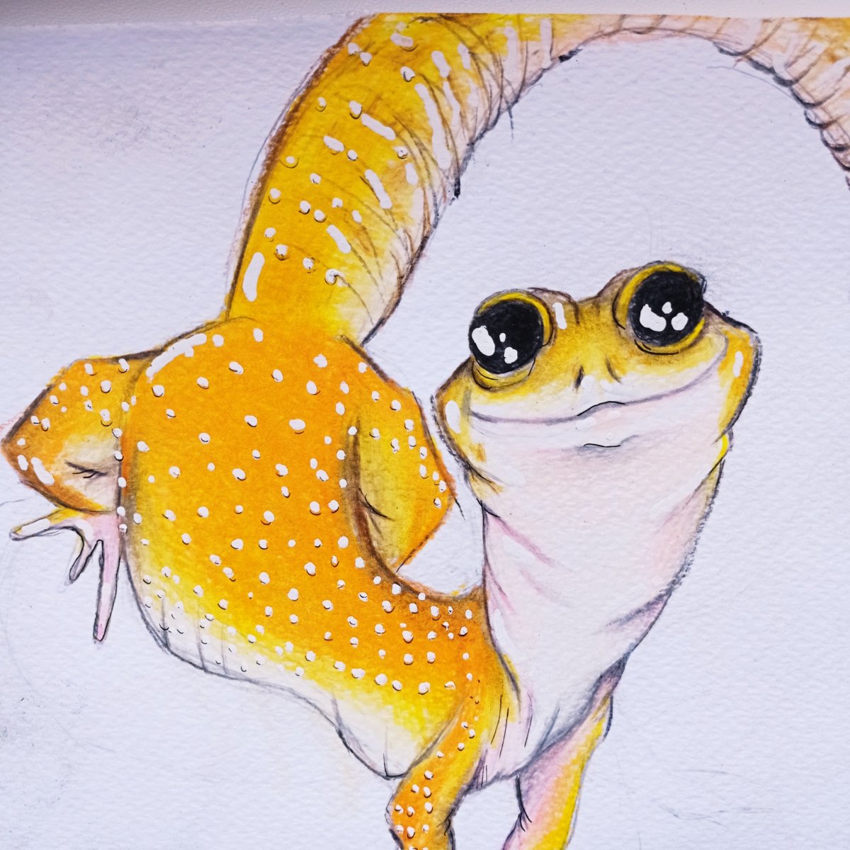 Геккон эублефар улыбается