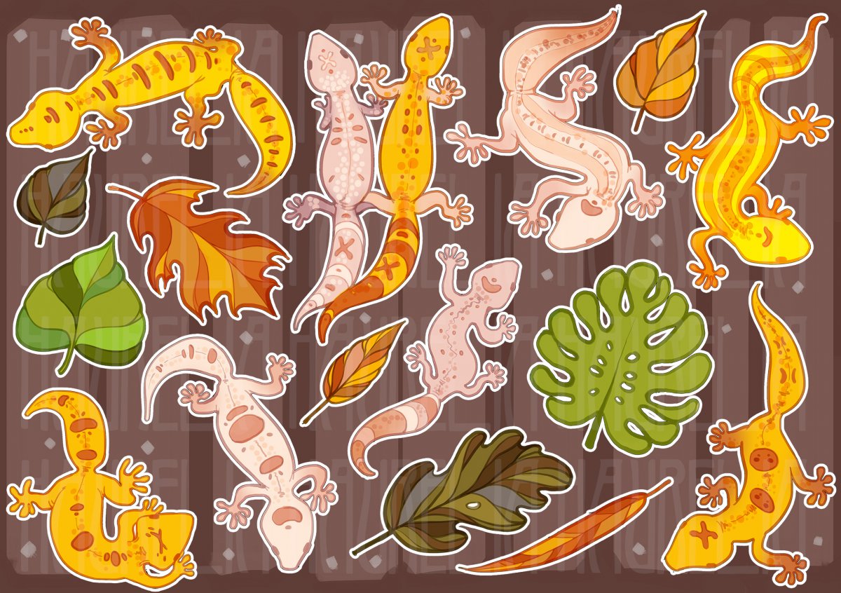 Eublepharis angramainyu