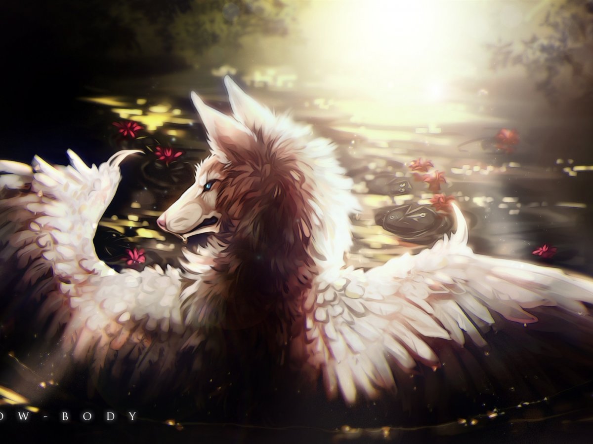 Волк с крыльями рисунок