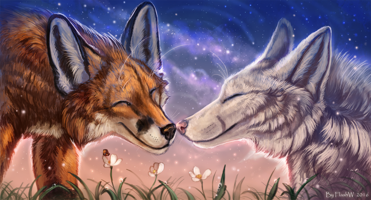 Влюбленные волки