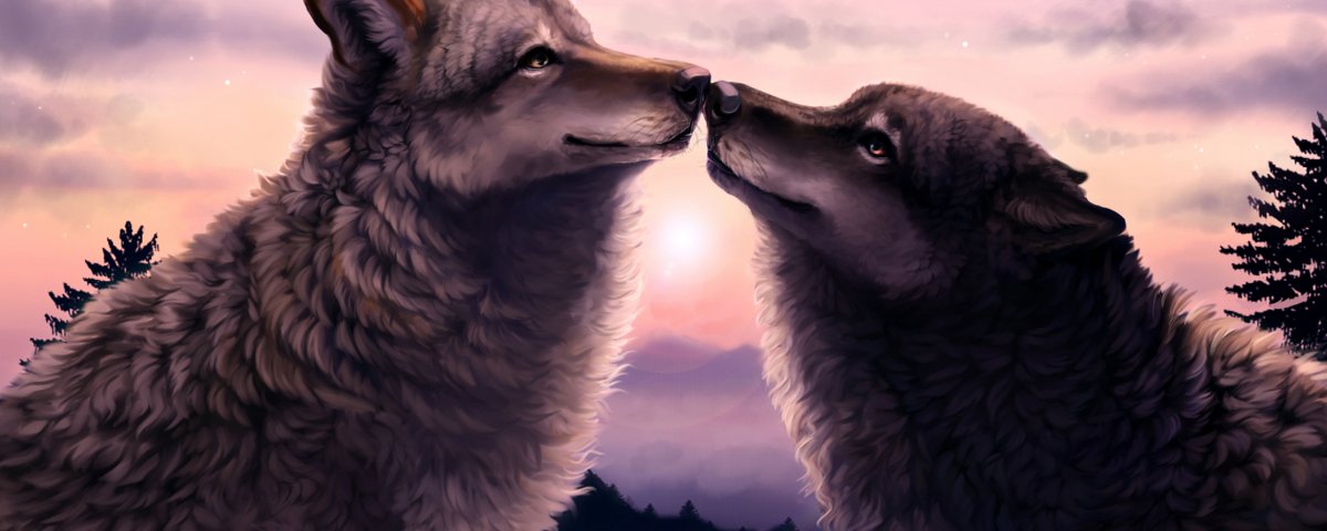 Спокойной ночи волк