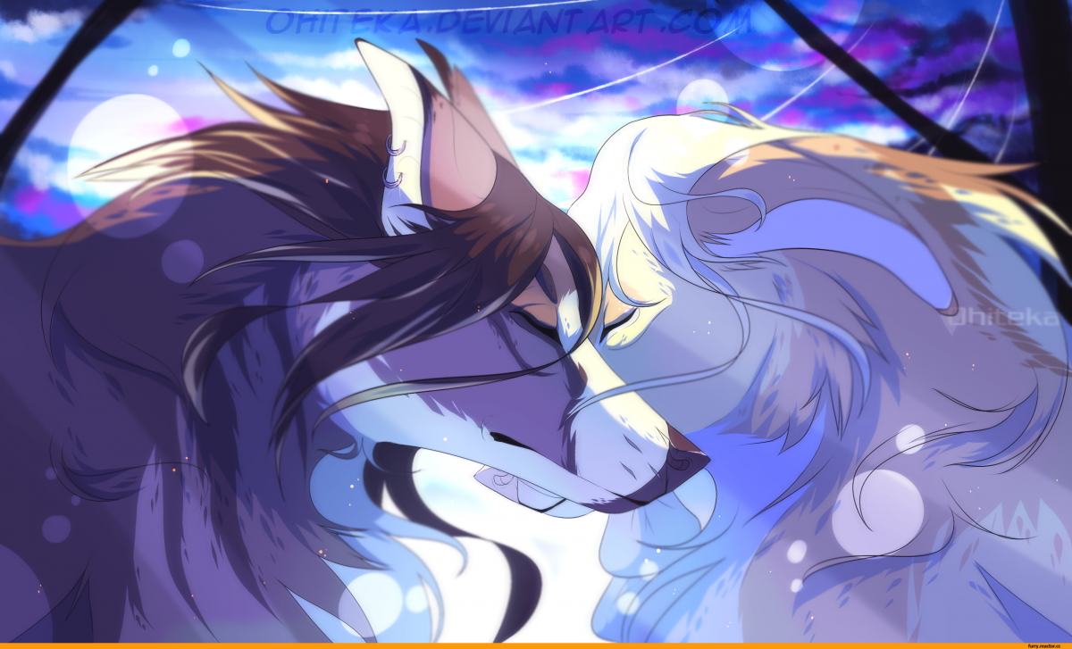 Вожак Волков аниме