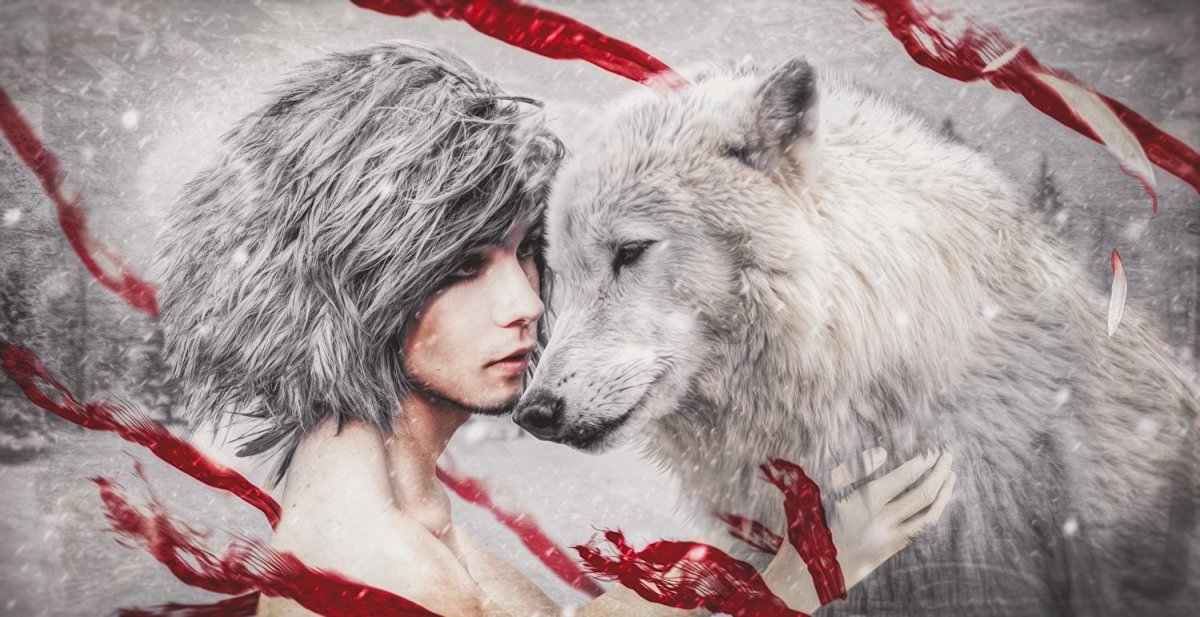 Волки романтика