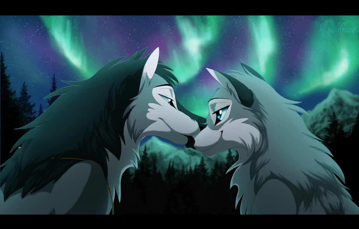 Два волка черный и белый