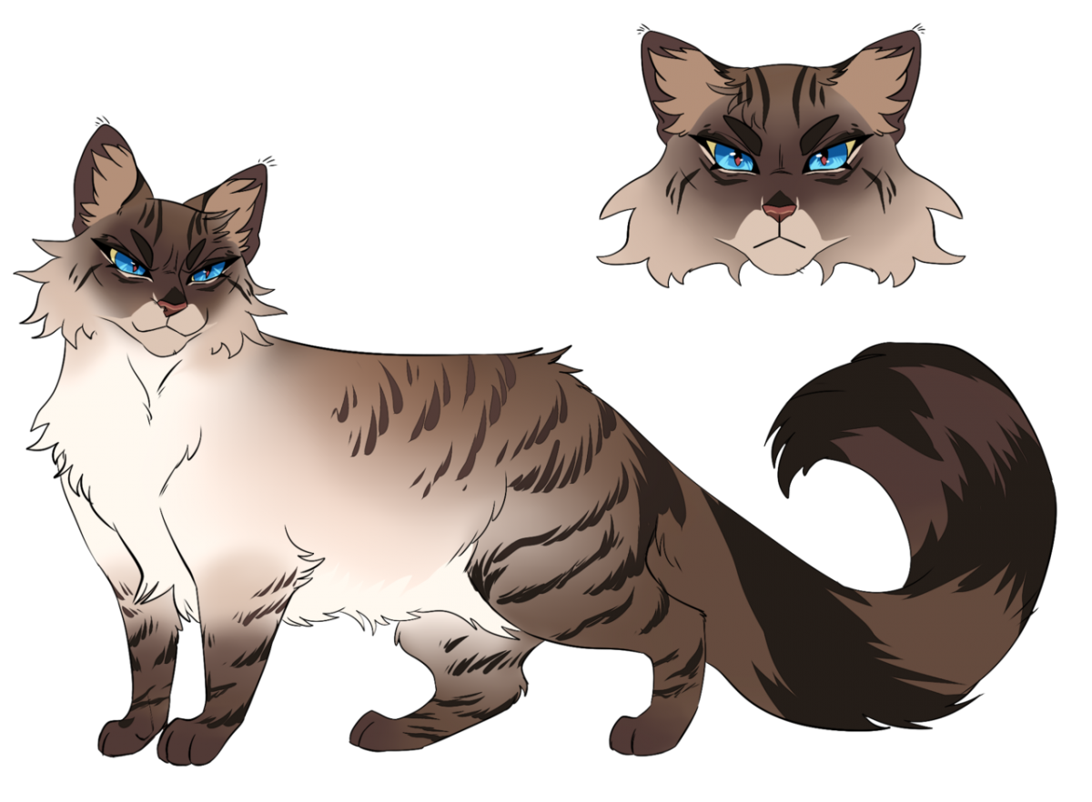Hawkfrost коты Воители