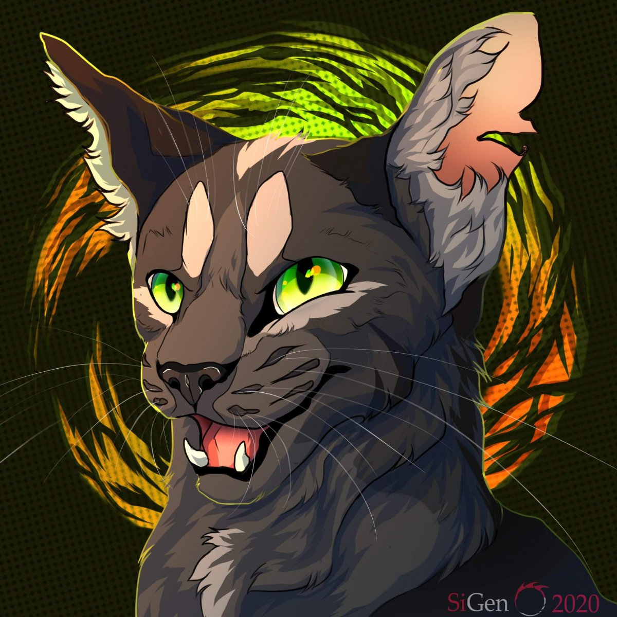 Коты Воители арты на аватарку