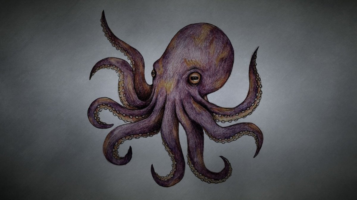 Осьминог арт