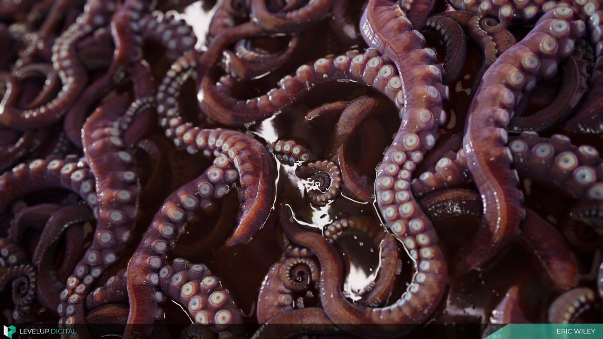 Лапки осьминога