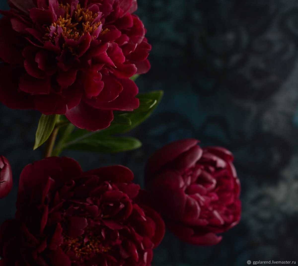 Пионы 3200*1200