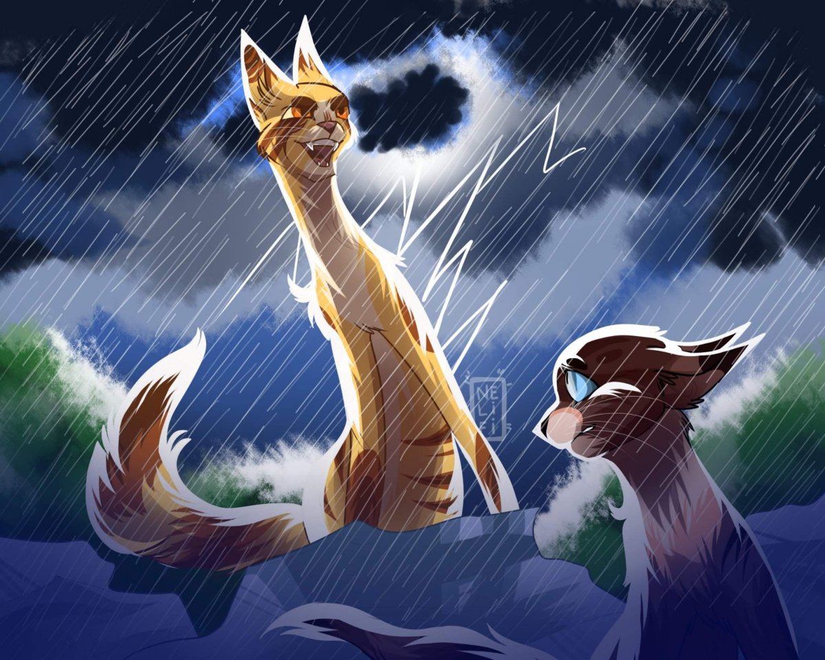 Коты Воители Песчаная б