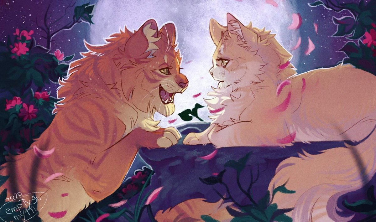 GRAYPILLOW коты Воители