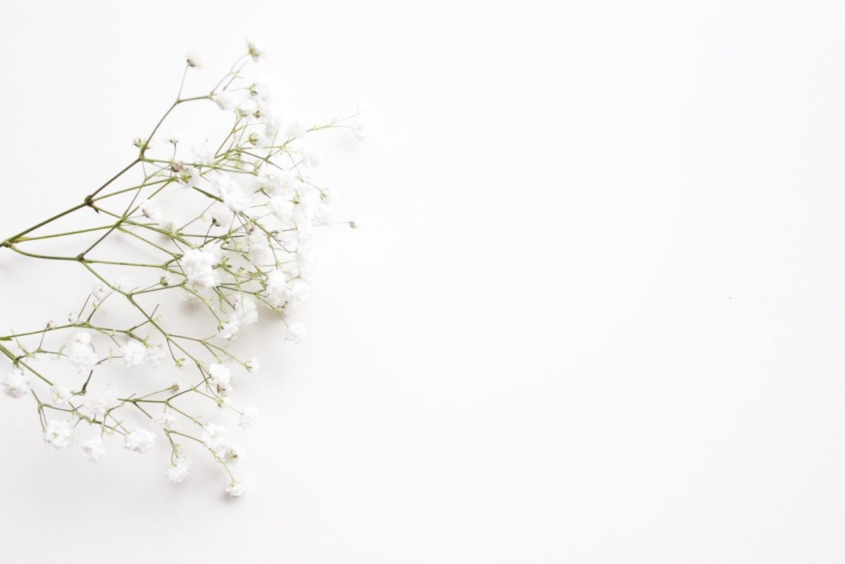 Стильные обои Минимализм