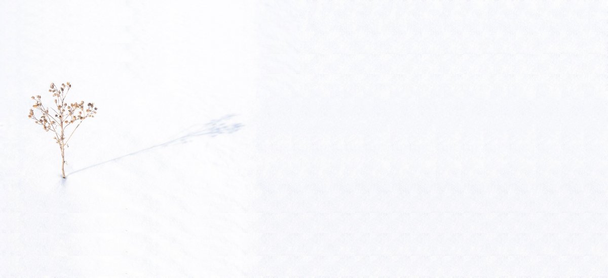 Белый Минимализм