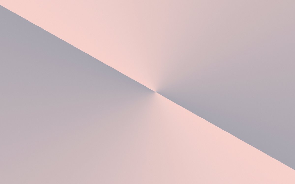 Картинки на рабочий стол Минимализм цветы