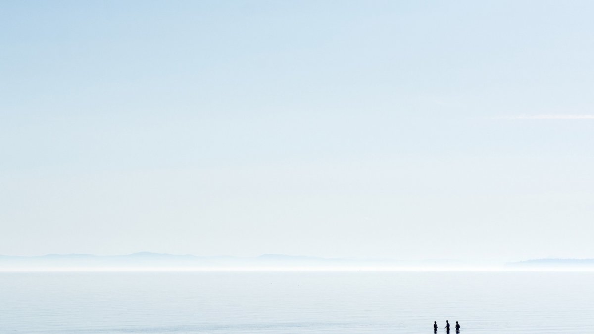 Кактус Минимализм