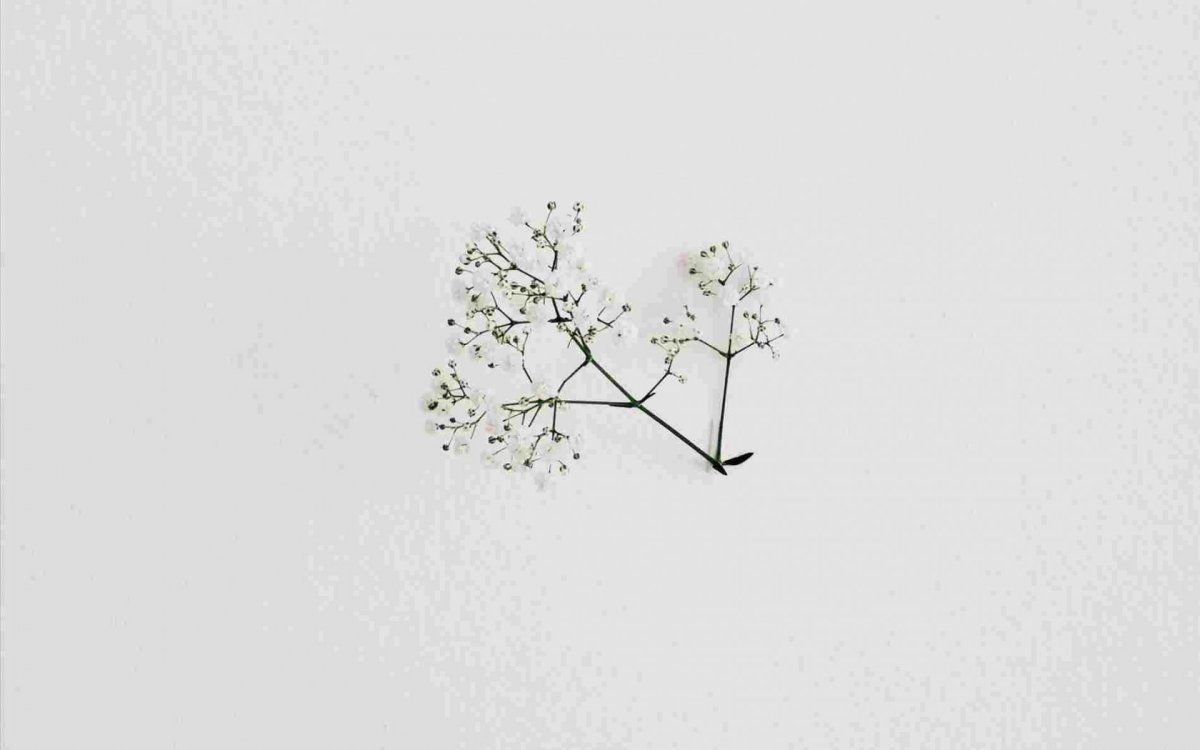 Минималистичный фон в пастельных тонах