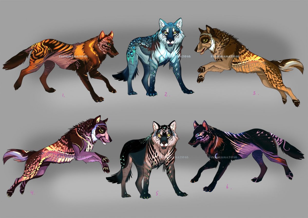 Окрасы Волков адопты