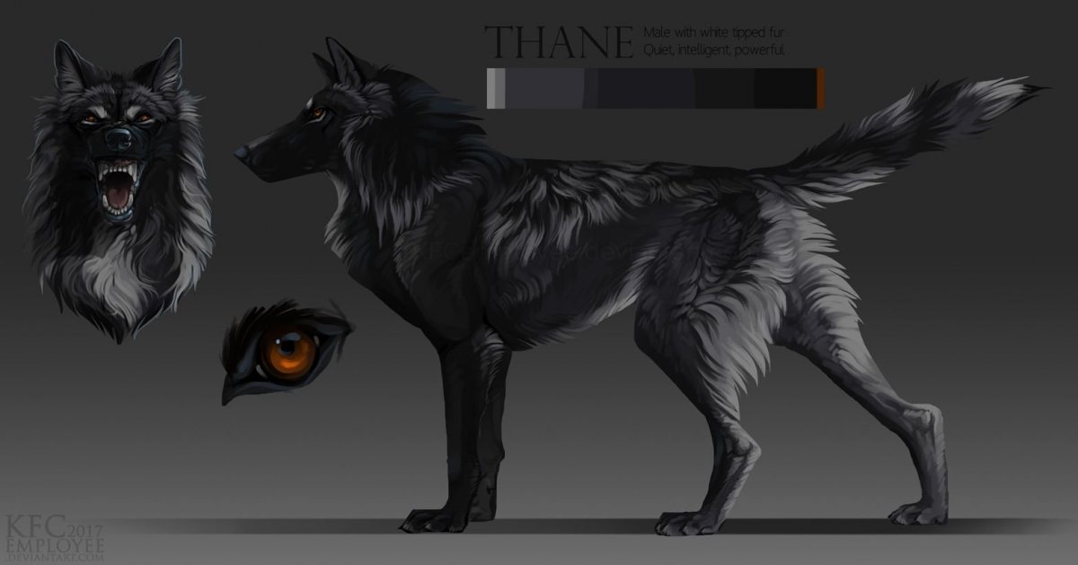 Окрас волка референс