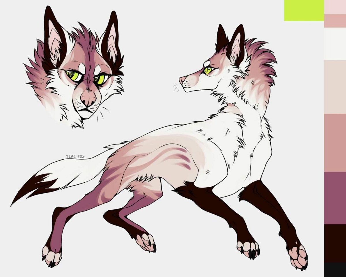 Щенок хаски референс