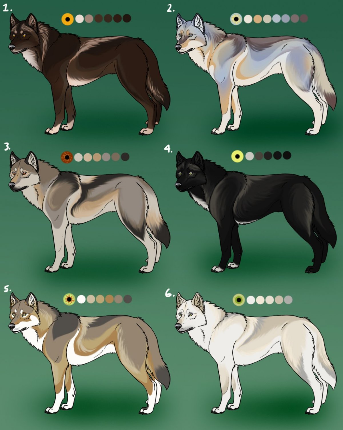 Необычный окрас волка