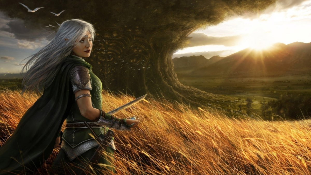 Пленница лунного эльфа картинки