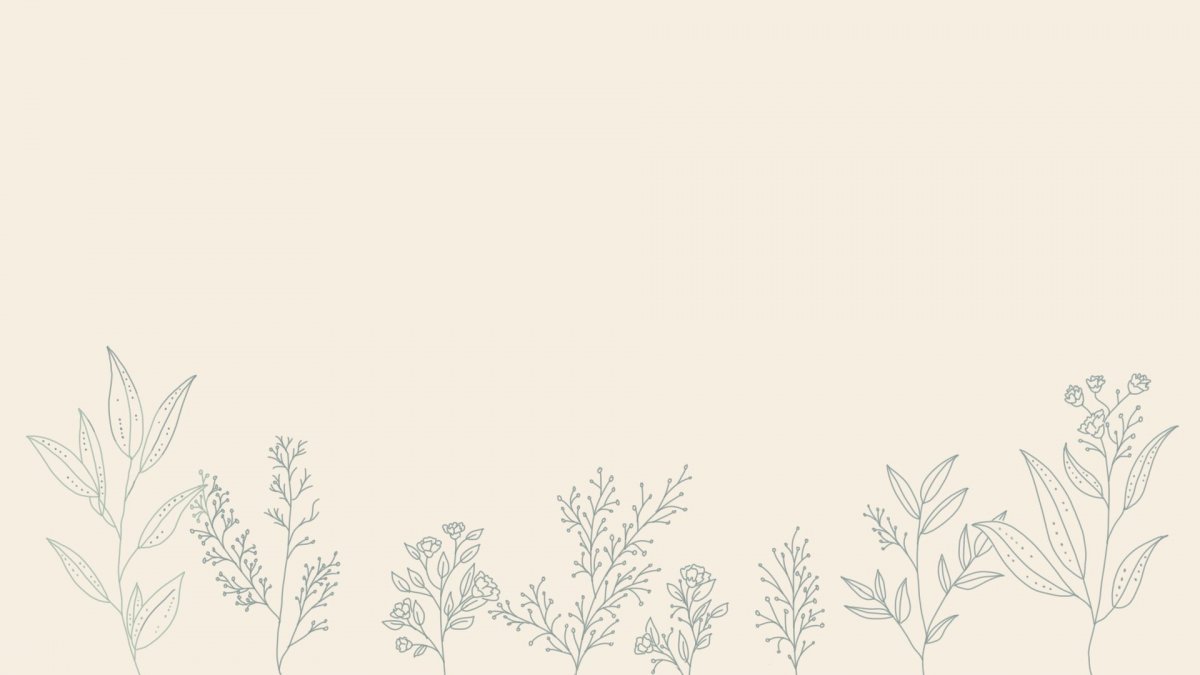 Обои на телефон Панда