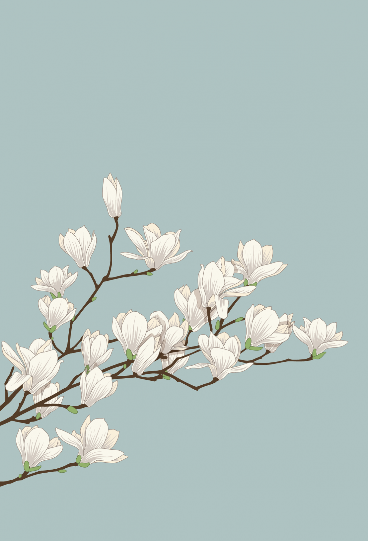 Бабочки из пинтереста